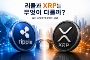 리플과 XRP의 차이를 비교한 이미지