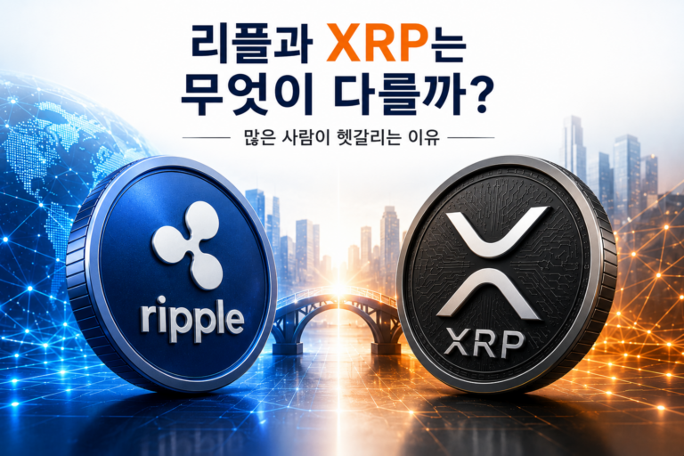 리플과 XRP의 차이를 비교한 이미지